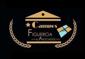  Campos Figueroa & Asociados 